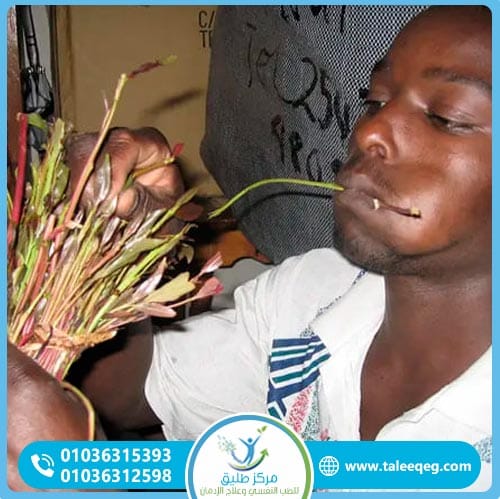 أسباب إدمان القات وعوامل الخطورة