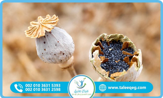 علاج إدمان الأفيون طرق فعّالة ومجربة للتعافي المستدام تحت إشراف طبي متخصص