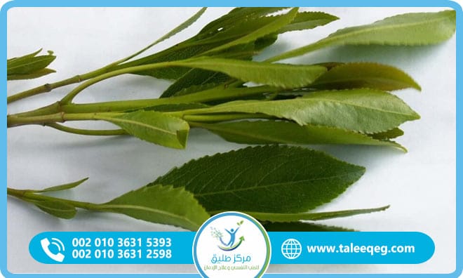 علاج إدمان القات