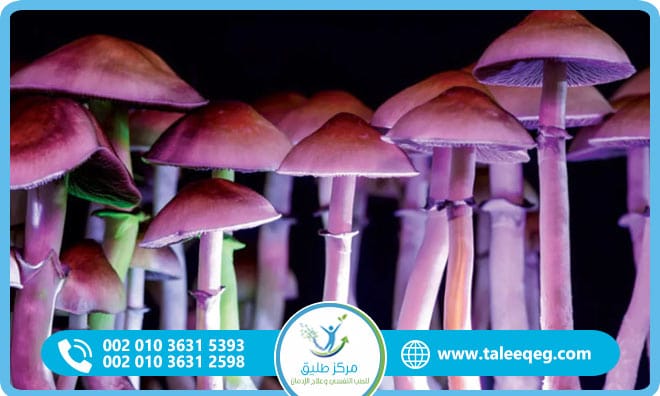 علاج إدمان سيلوسيبين دليل طبي شامل لفهم الأعراض وطرق التعافي الآمن
