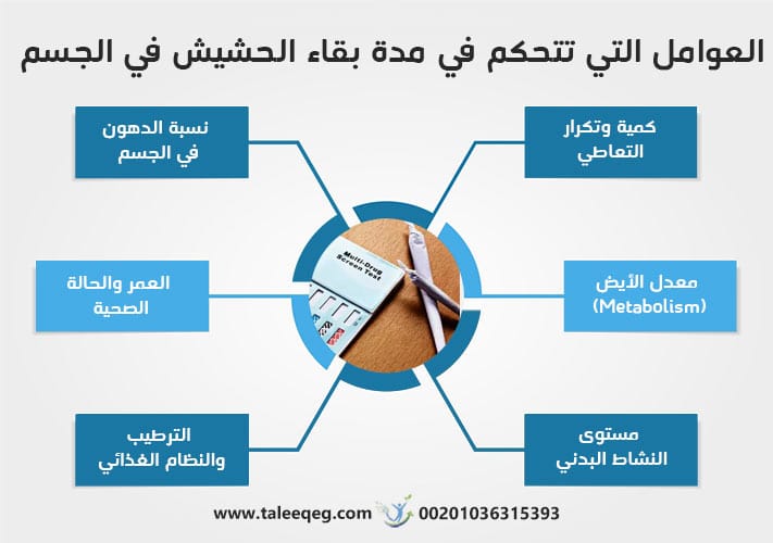 العوامل التي تتحكم في مدة بقاء الحشيش في الجسم