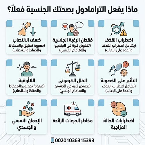 الترامادول والجنس: الحقيقة الطبية الكاملة عن الانتصاب والرغبة والخصوبة 2 ماذا يفعل الترامادول بصحتك الجنسية فعلاً؟