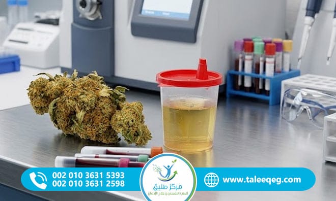 مدة بقاء البانجو في الجسم