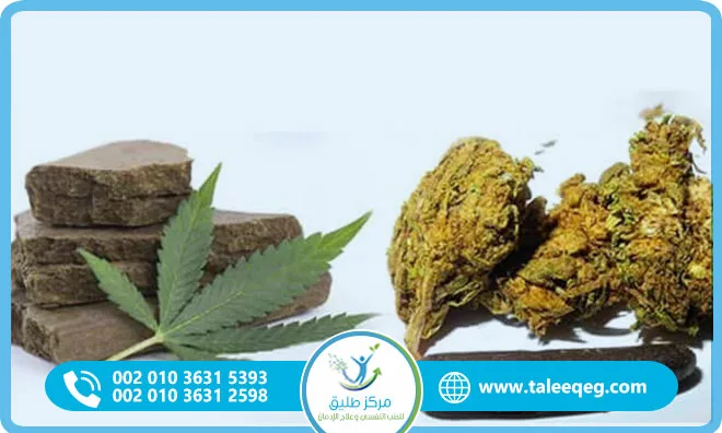 الفرق بين الحشيش والبانجو في الشكل واللون والطعم والآثار الجانبية وأعراض الانسحاب ومدة بقاء كل منهما